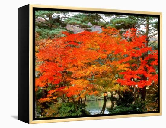 Maple Trees and a Pond-null-Framed Premier Image Canvas