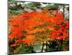 Premium Photographic Print
