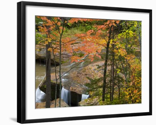 Maple Trees frame O Kun De Kun Falls on the Baltimore River, Ottawa National Forest, Michigan, USA-Chuck Haney-Framed Photographic Print