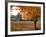 Maple Trees in Full Autumn Color and Barn in Background, Wax Orchard Road, Vashon Island, USA-Aaron McCoy-Framed Photographic Print