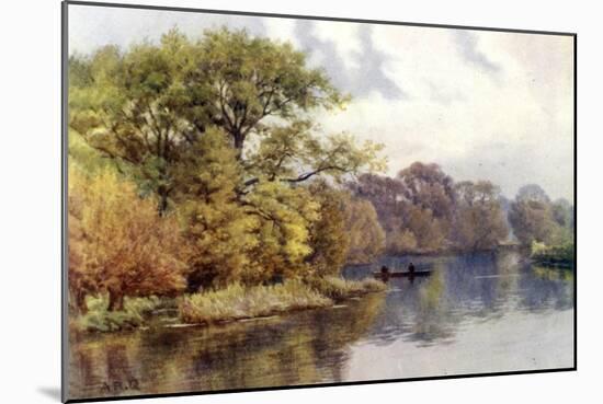 Mapledurham Woods-Alfred Robert Quinton-Mounted Giclee Print