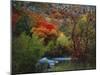 Maples and Willows in Autumn, Blacksmith Fork Canyon, Bear River Range, National Forest, Utah-Scott T^ Smith-Mounted Photographic Print
