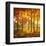 Maples at Dusk II-Graham Reynolds-Framed Art Print