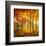 Maples at Dusk II-Graham Reynolds-Framed Art Print