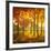 Maples at Dusk II-Graham Reynolds-Framed Art Print