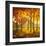 Maples at Dusk II-Graham Reynolds-Framed Art Print