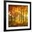 Maples at Dusk II-Graham Reynolds-Framed Art Print