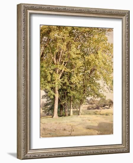 Maples in Chester County, Pennsylvania, 1889-William Trost Richards-Framed Giclee Print