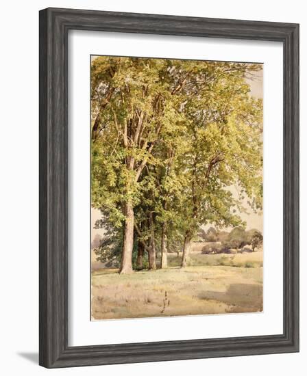 Maples in Chester County, Pennsylvania, 1889-William Trost Richards-Framed Giclee Print