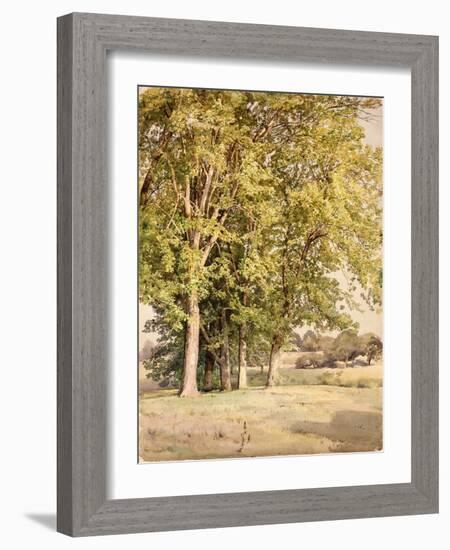 Maples in Chester County, Pennsylvania, 1889-William Trost Richards-Framed Giclee Print