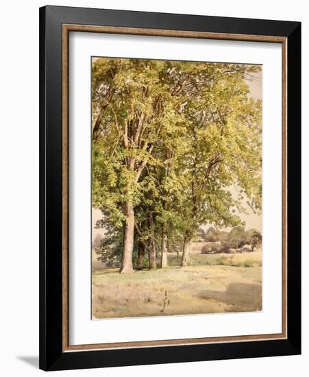 Maples in Chester County, Pennsylvania, 1889-William Trost Richards-Framed Giclee Print