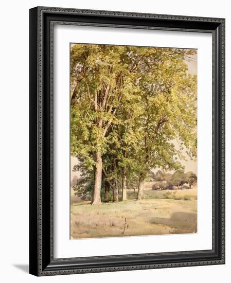 Maples in Chester County, Pennsylvania, 1889-William Trost Richards-Framed Giclee Print