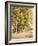 Maples in Chester County, Pennsylvania, 1889-William Trost Richards-Framed Giclee Print