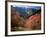 Maples on Slopes above Logan Canyon, Bear River Range, Wasatch-Cache National Forest, Utah, USA-Scott T^ Smith-Framed Photographic Print