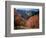 Maples on Slopes above Logan Canyon, Bear River Range, Wasatch-Cache National Forest, Utah, USA-Scott T^ Smith-Framed Photographic Print