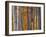 Maples Trees and Bamboo, Arashiyama, Kyoto, Japan-Gavin Hellier-Framed Photographic Print