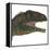 Mapusaurus Dinosaur Head-Stocktrek Images-Framed Stretched Canvas