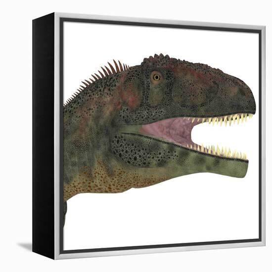 Mapusaurus Dinosaur Head-Stocktrek Images-Framed Stretched Canvas