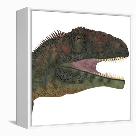 Mapusaurus Dinosaur Head-Stocktrek Images-Framed Stretched Canvas