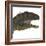 Mapusaurus Dinosaur Head-Stocktrek Images-Framed Art Print