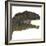 Mapusaurus Dinosaur Head-Stocktrek Images-Framed Art Print