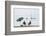 Mar Menor, Region of Murcia, Spain-Michael Snell-Framed Photographic Print