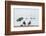 Mar Menor, Region of Murcia, Spain-Michael Snell-Framed Photographic Print