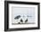 Mar Menor, Region of Murcia, Spain-Michael Snell-Framed Photographic Print