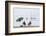 Mar Menor, Region of Murcia, Spain-Michael Snell-Framed Photographic Print