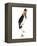 Marabou Stork-Martin Harvey-Framed Premier Image Canvas