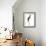 Marabou Stork-Martin Harvey-Framed Photographic Print displayed on a wall