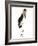 Marabou Stork-Martin Harvey-Framed Photographic Print