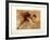 Marathonien-Jean-marie Guiny-Framed Limited Edition