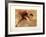 Marathonien-Jean-marie Guiny-Framed Limited Edition