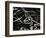 Marble Abstraction, Europe, 1971-Brett Weston-Framed Photographic Print