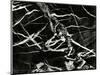 Marble Abstraction, Europe, 1971-Brett Weston-Mounted Photographic Print