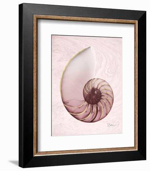 Marble Blush Snail 1-Albert Koetsier-Framed Photographic Print