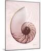 Marble Blush Snail 1-Albert Koetsier-Mounted Photo