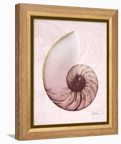 Marble Blush Snail 1-Albert Koetsier-Framed Stretched Canvas