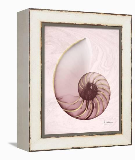 Marble Blush Snail 1-Albert Koetsier-Framed Stretched Canvas