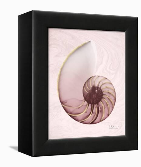 Marble Blush Snail 1-Albert Koetsier-Framed Stretched Canvas