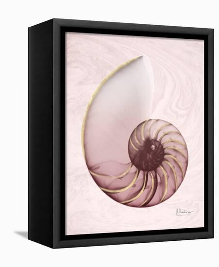 Marble Blush Snail 1-Albert Koetsier-Framed Stretched Canvas