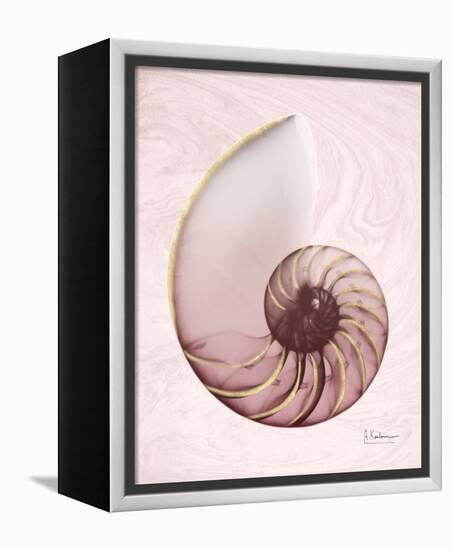 Marble Blush Snail 1-Albert Koetsier-Framed Stretched Canvas