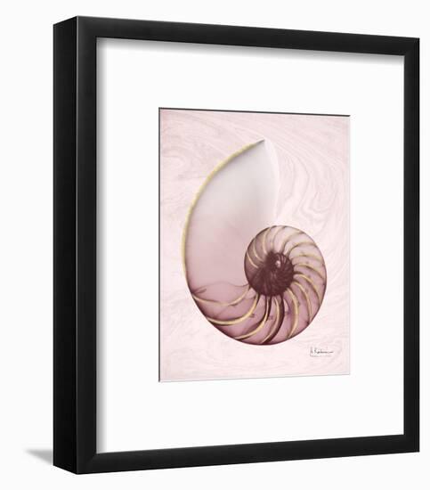 Marble Blush Snail 1-Albert Koetsier-Framed Photo