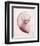 Marble Blush Snail 2-Albert Koetsier-Framed Photo