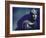 Marble Bust of Cicero-Gjon Mili-Framed Photographic Print