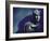 Marble Bust of Cicero-Gjon Mili-Framed Photographic Print