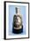 Marble Head of Egyptian God Serapis, from Mithras Walbrook to Londinium-null-Framed Giclee Print