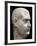 Marble Head of Emperor Decimo Celio Balbinus, 238 Ad, Profile View, 3rd Century-null-Framed Giclee Print