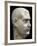 Marble Head of Emperor Decimo Celio Balbinus, 238 Ad, Profile View, 3rd Century-null-Framed Giclee Print